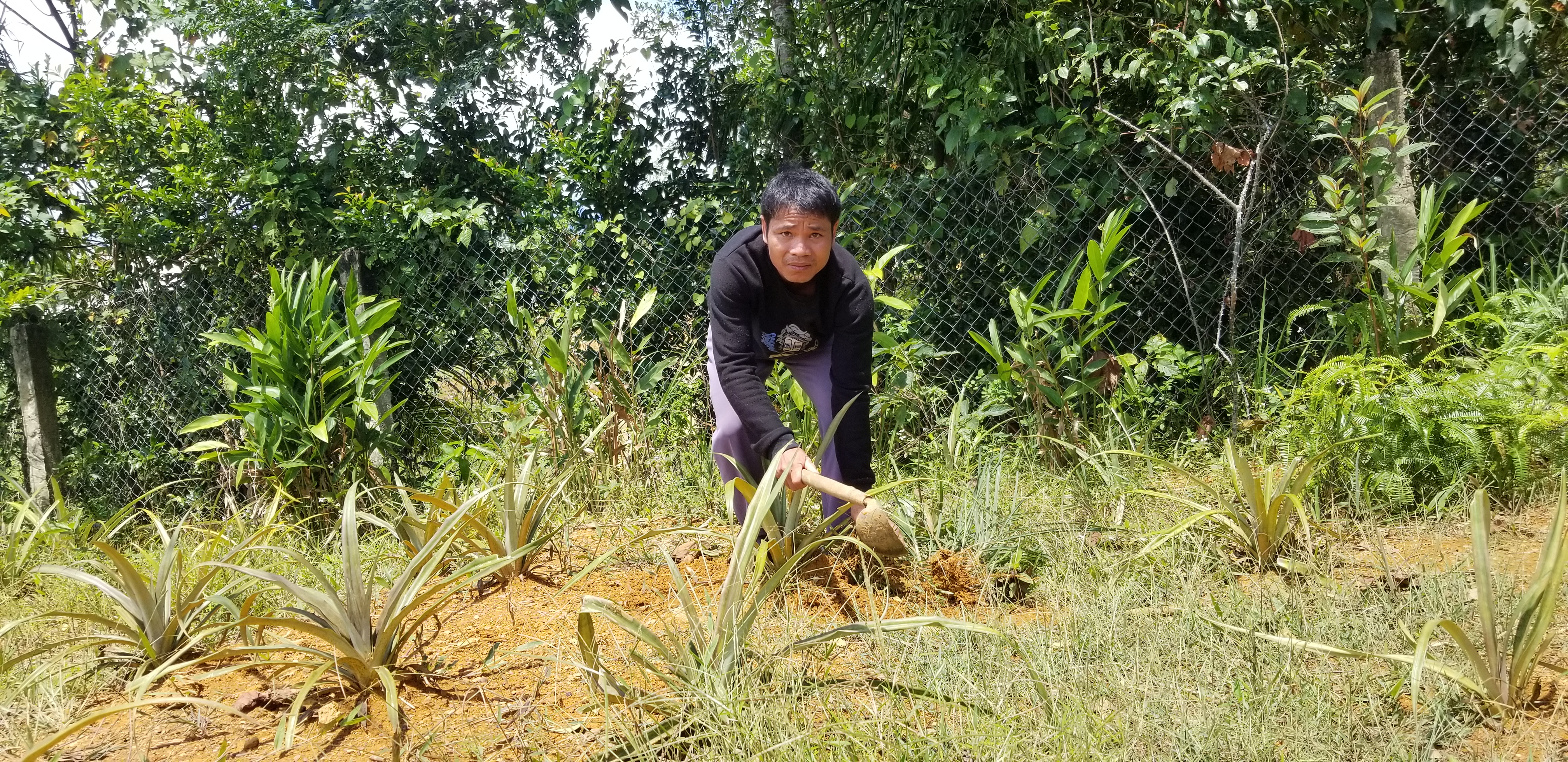 Đưa A Lưới ra khỏi danh sách huyện nghèo