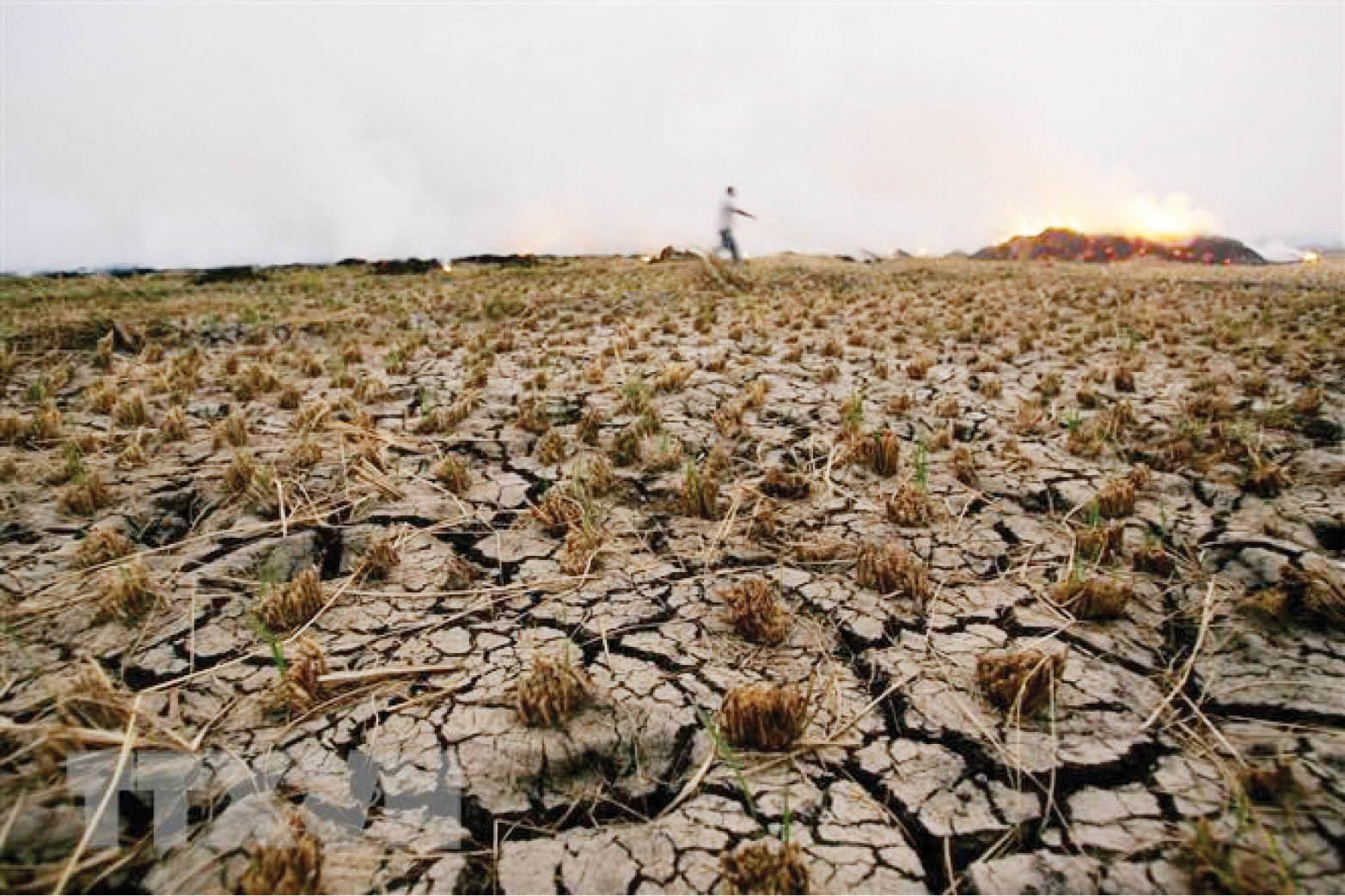 IEA Căng thẳng địa chính trị là mối đe dọa lớn đối với hành động về khí hậu