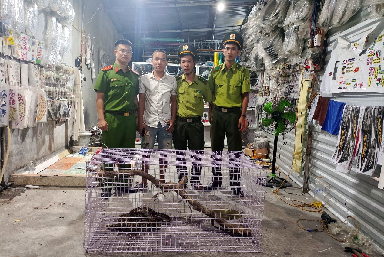 Thêm 1 động vật hoang dã nhóm IIB được người dân tự nguyện giao nộp