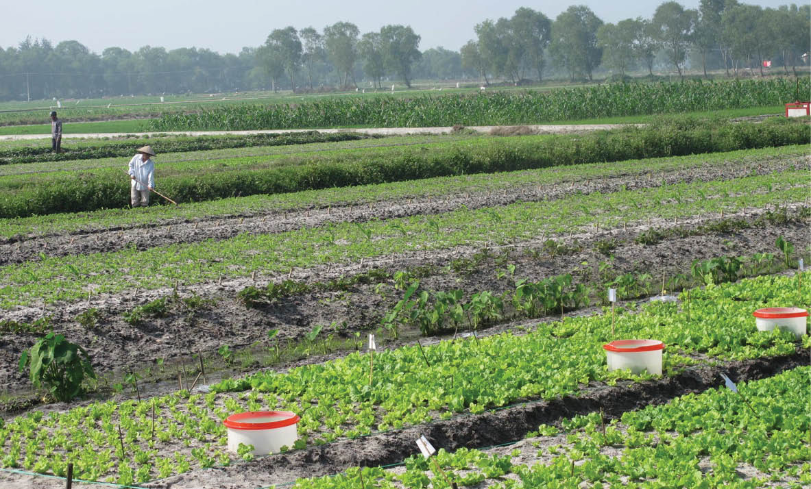 Thói quen khó đổi