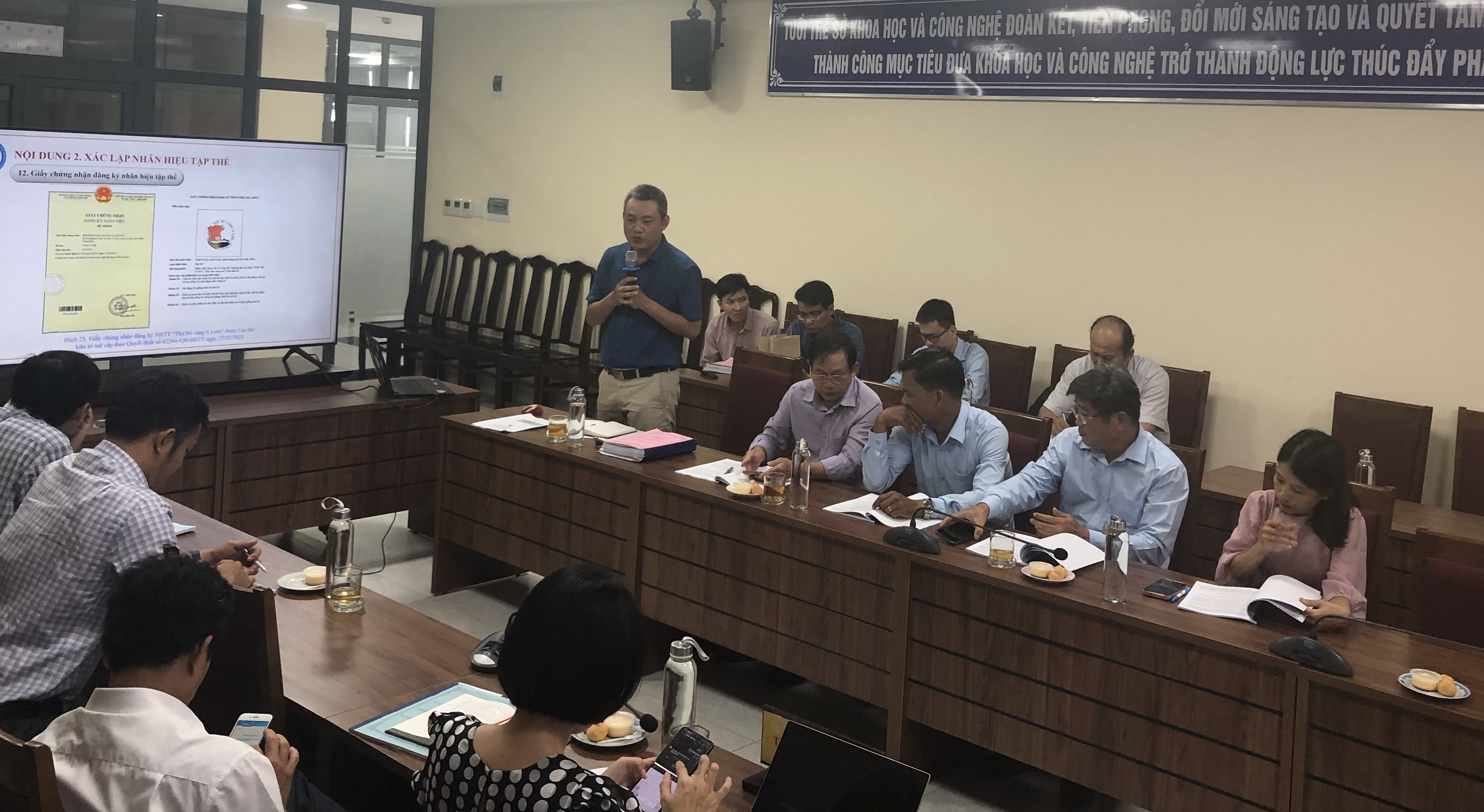 Thịt bò vàng A Lưới sẽ vươn ra thị trường xa