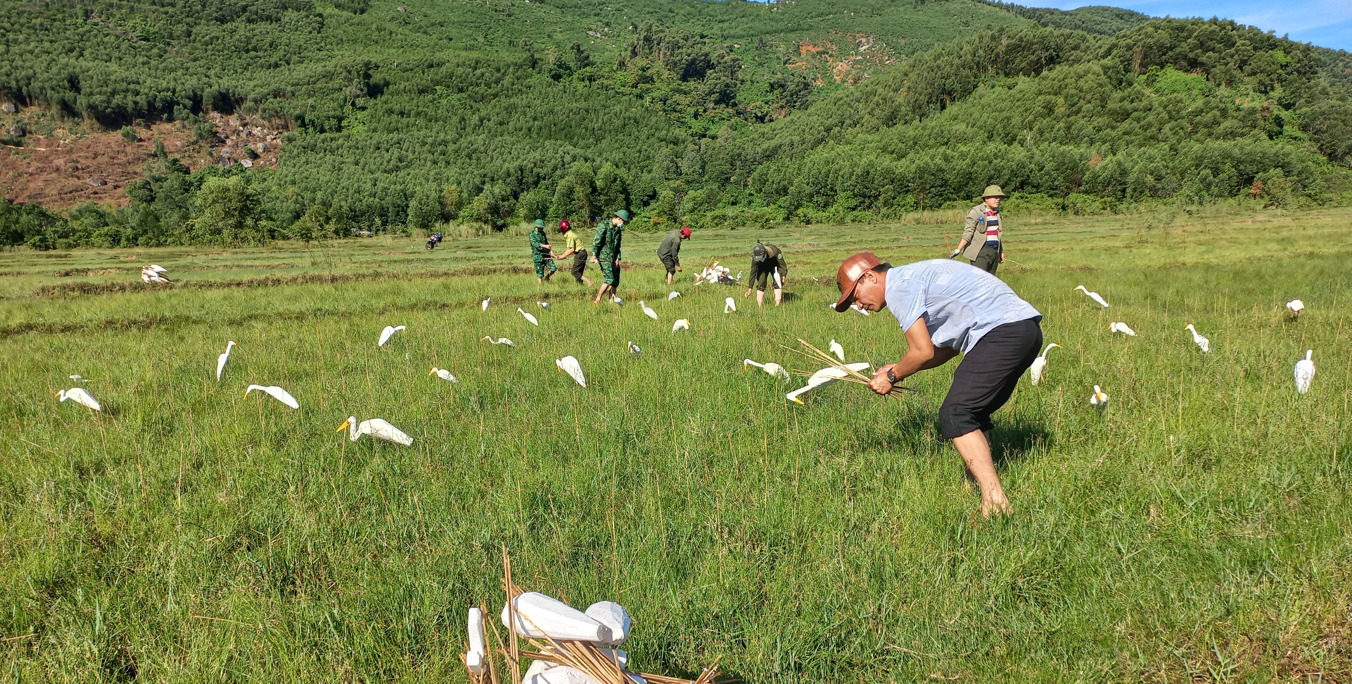 Liên tục truy quét bảo vệ chim trời