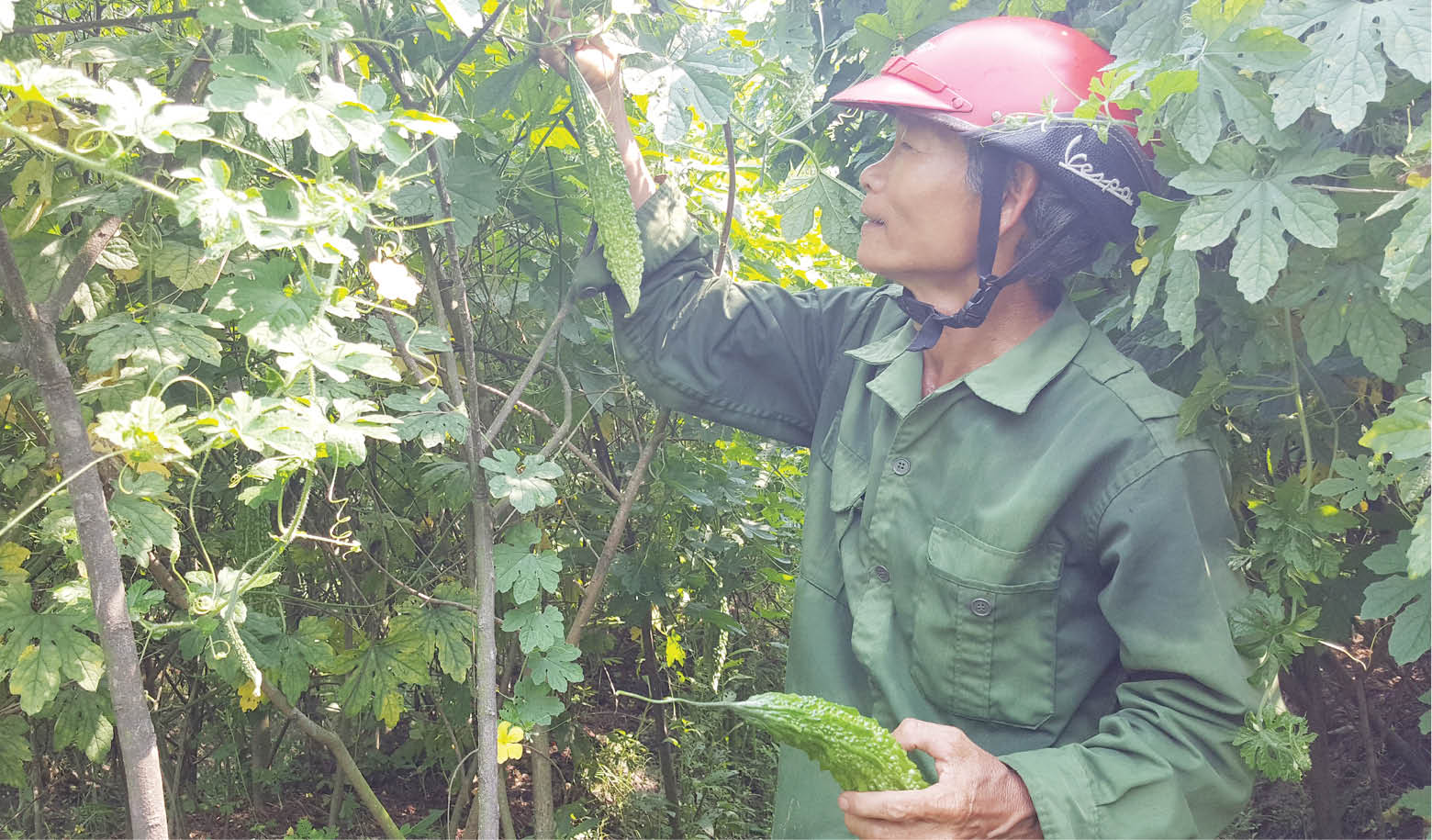 Gỡ nút thắt nguyên nhân chính gây nghèo