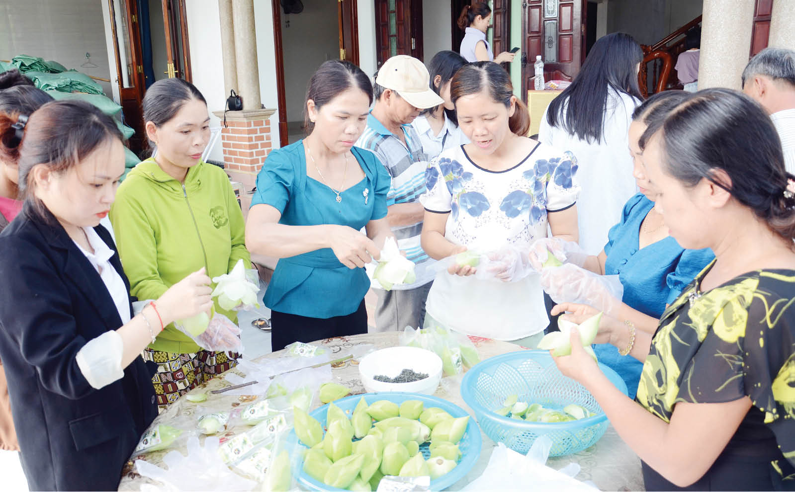 Triển khai các đề tài nghiên cứu vào sản xuất