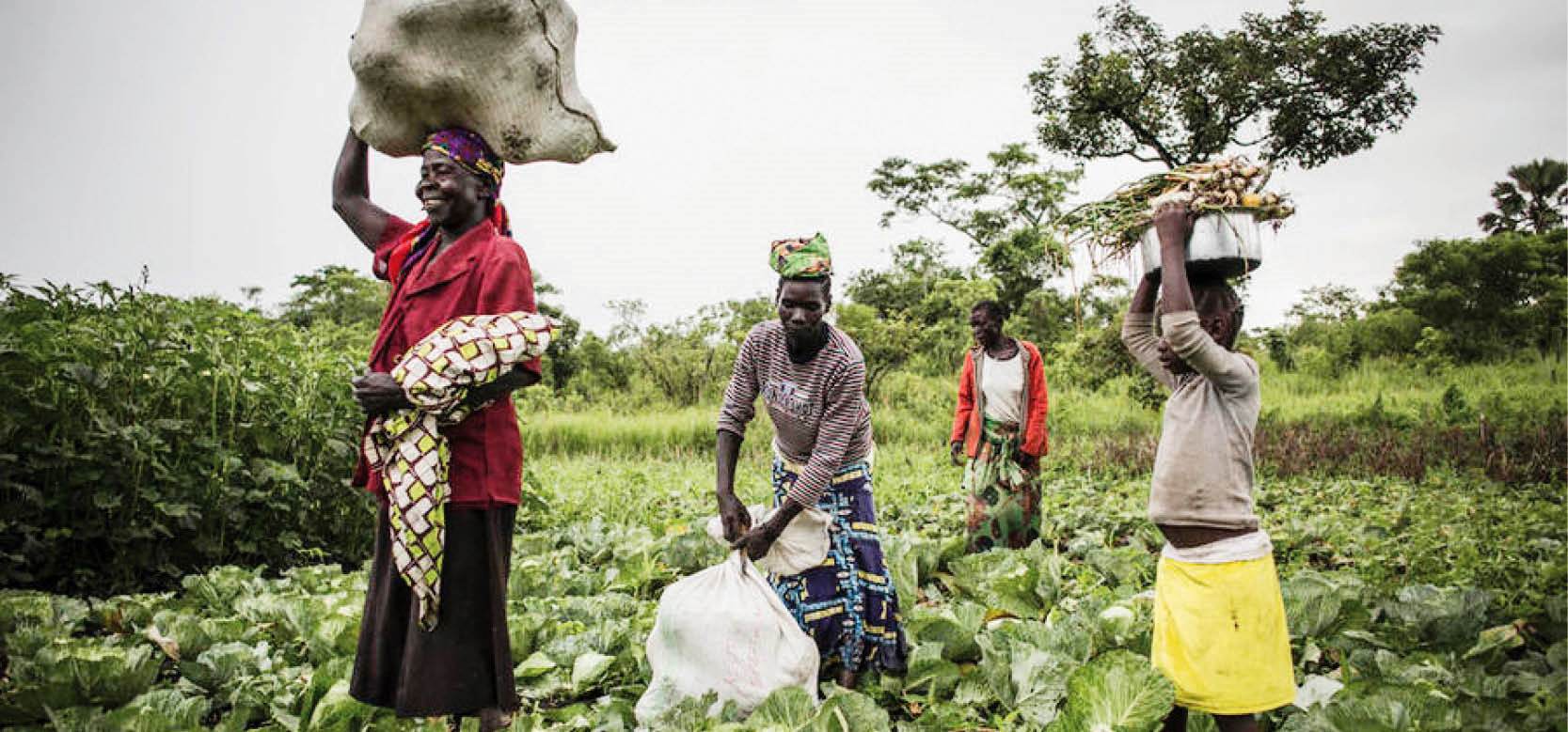 Diễn đàn Đầu tư Thế giới 2023 huy động tài chính cho các lĩnh vực quan trọng