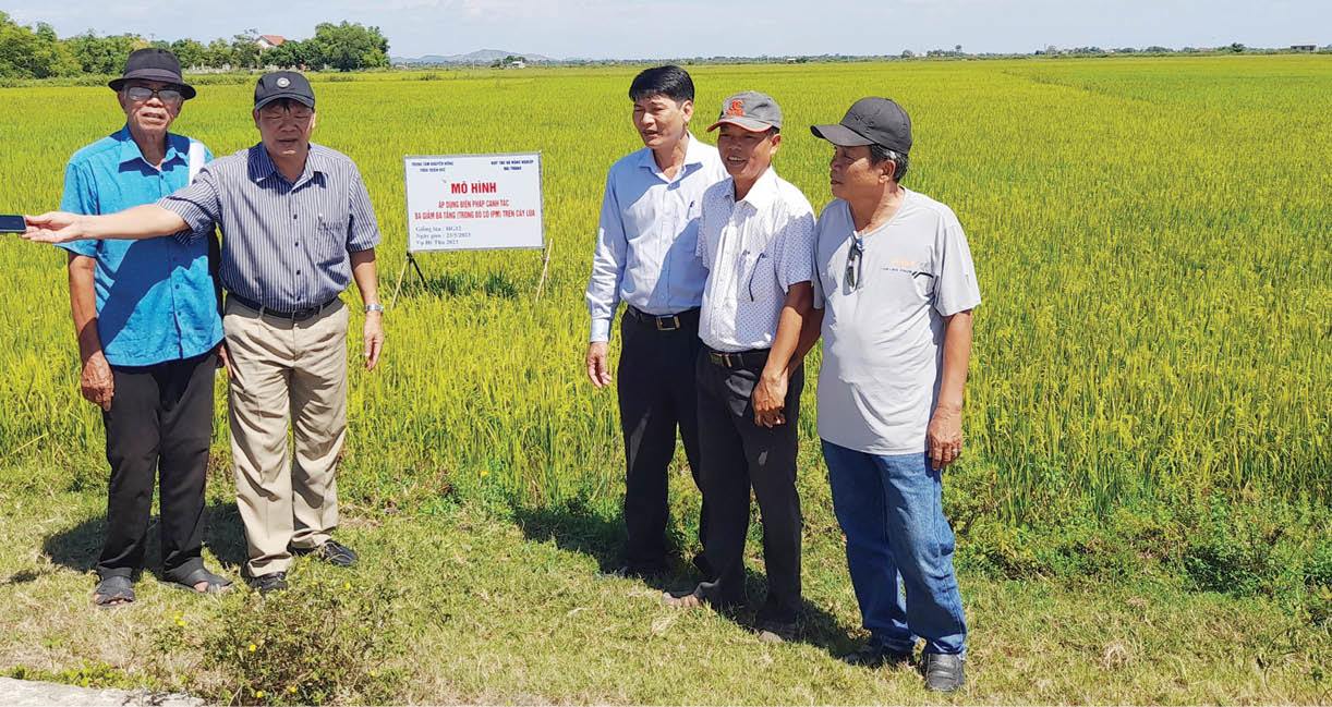 Mô hình “ba giảm, ba tăng” trên lúa chất lượng cao
