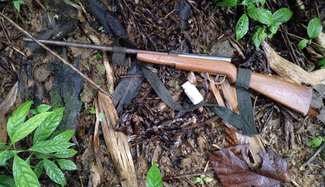 Thu giữ súng tự chế săn bắt động vật rừng
