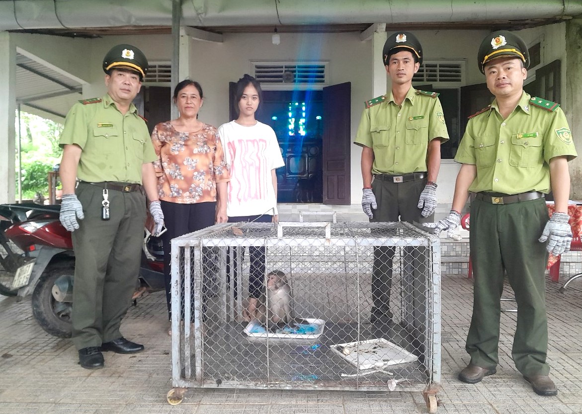 Người dân tự nguyện giao nộp 1 cá thể khỉ