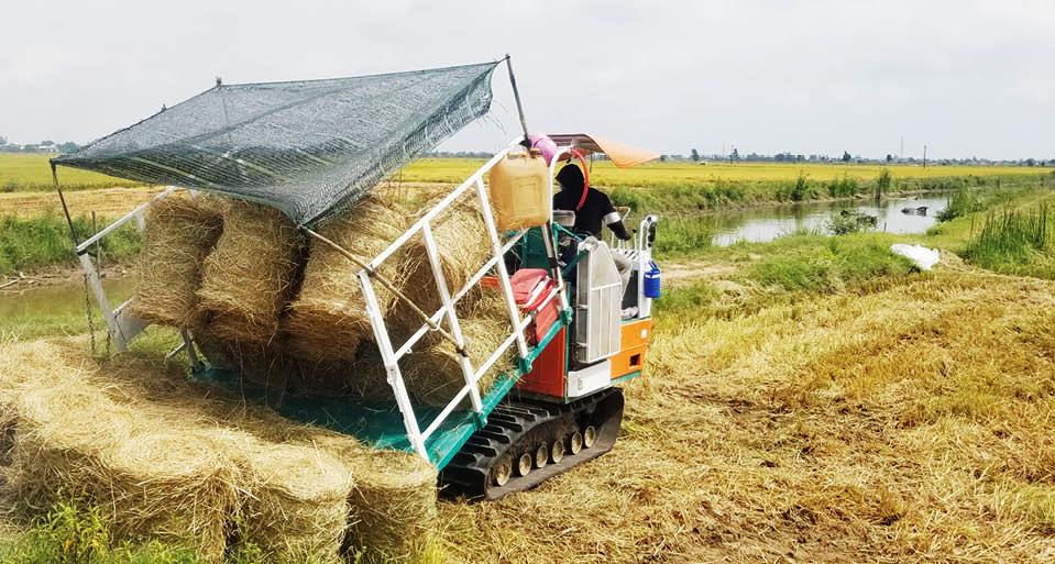 Nhân rộng mô hình máy cuộn rơm