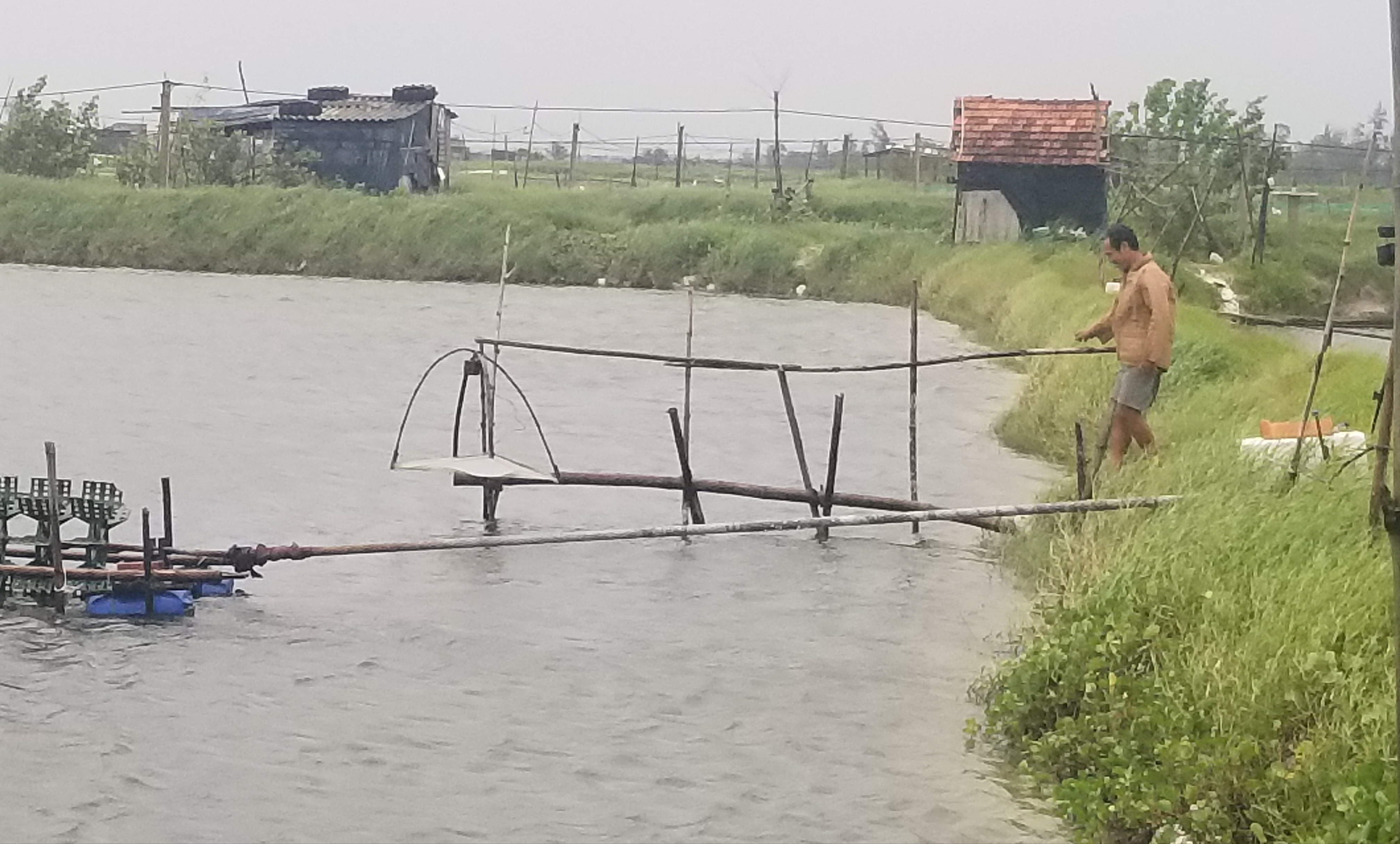 Còn hơn 3 200 tấn thủy sản chưa thu hoạch