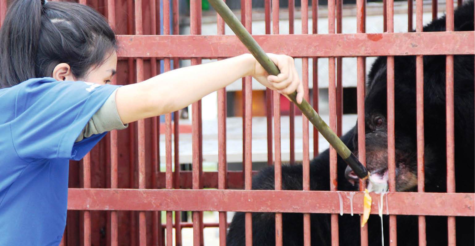 Nhà cho gấu giữa Bạch Mã