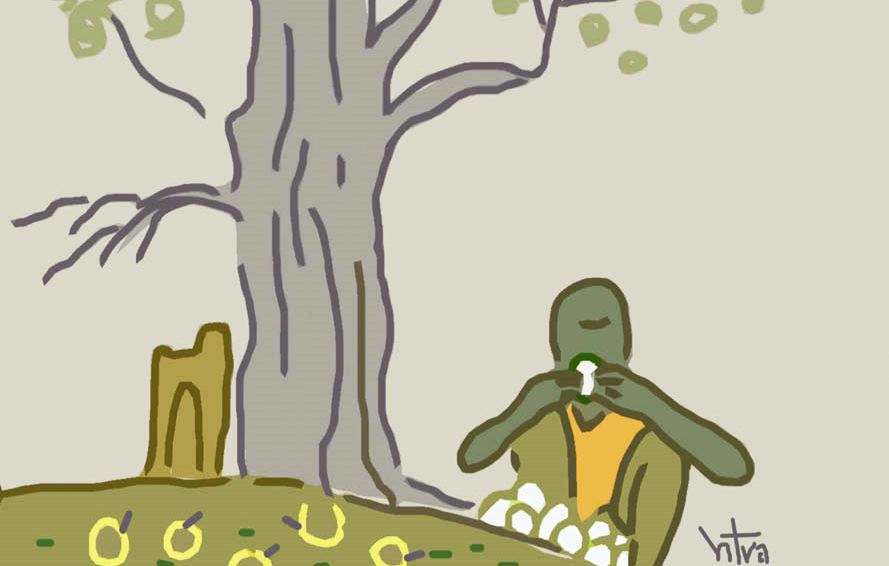 Xôn xao quả rụng