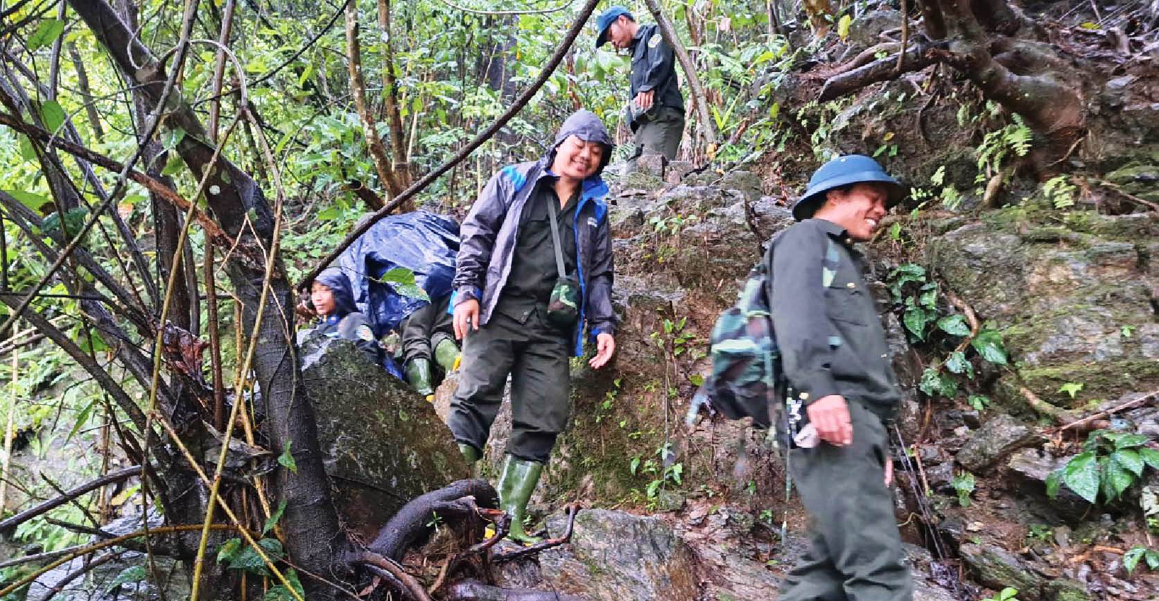 Không lưu lại trong rừng khi bão, lũ