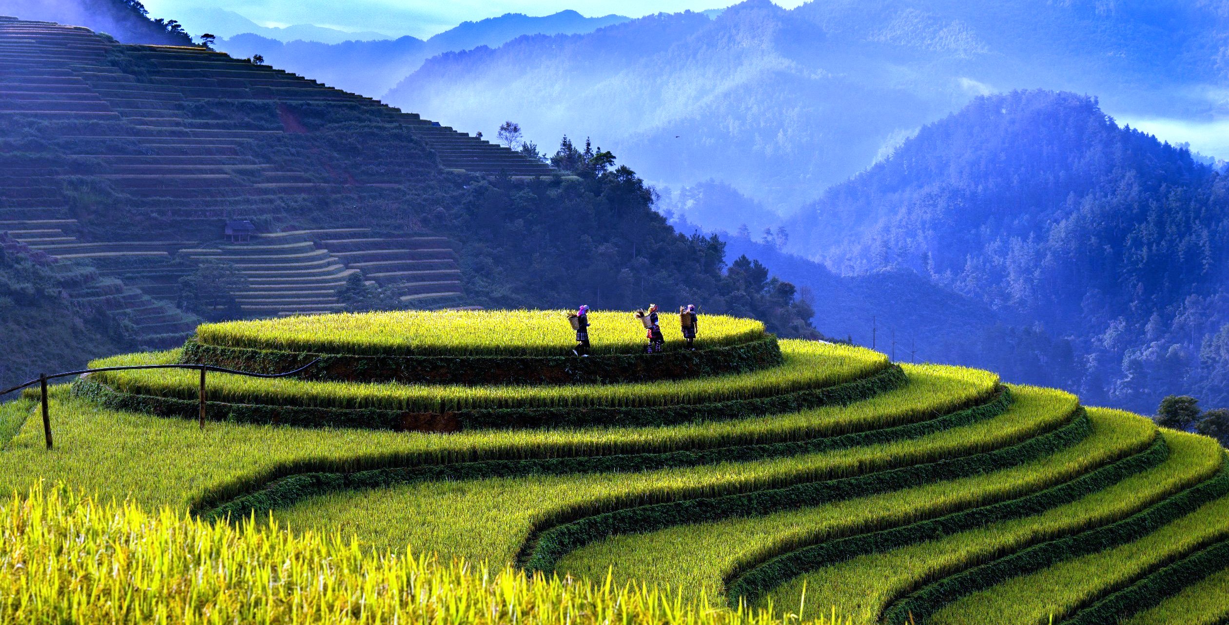 Bản tin Văn hóa - Du lịch ngày 19 10