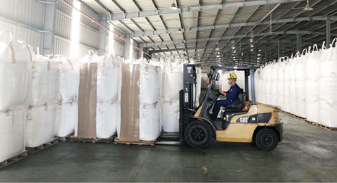 Đua đến Net Zero