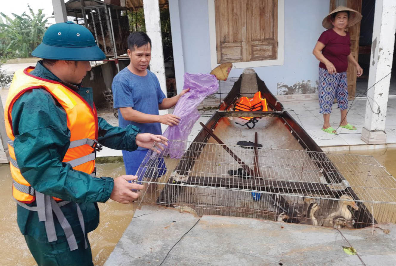 Tình quân dân trong mùa mưa bão