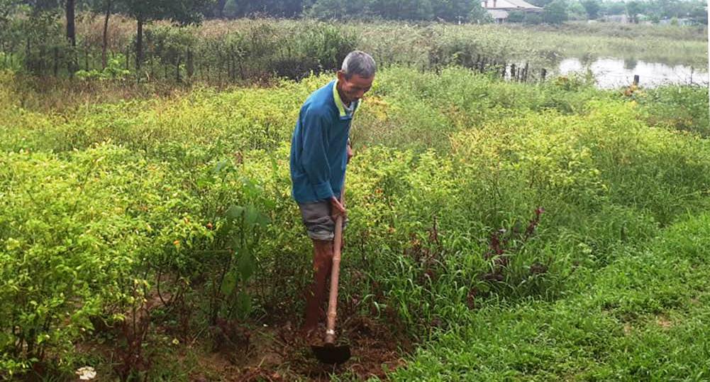 Sơn Thủy với khát vọng đạt chuẩn nông thôn mới nâng cao