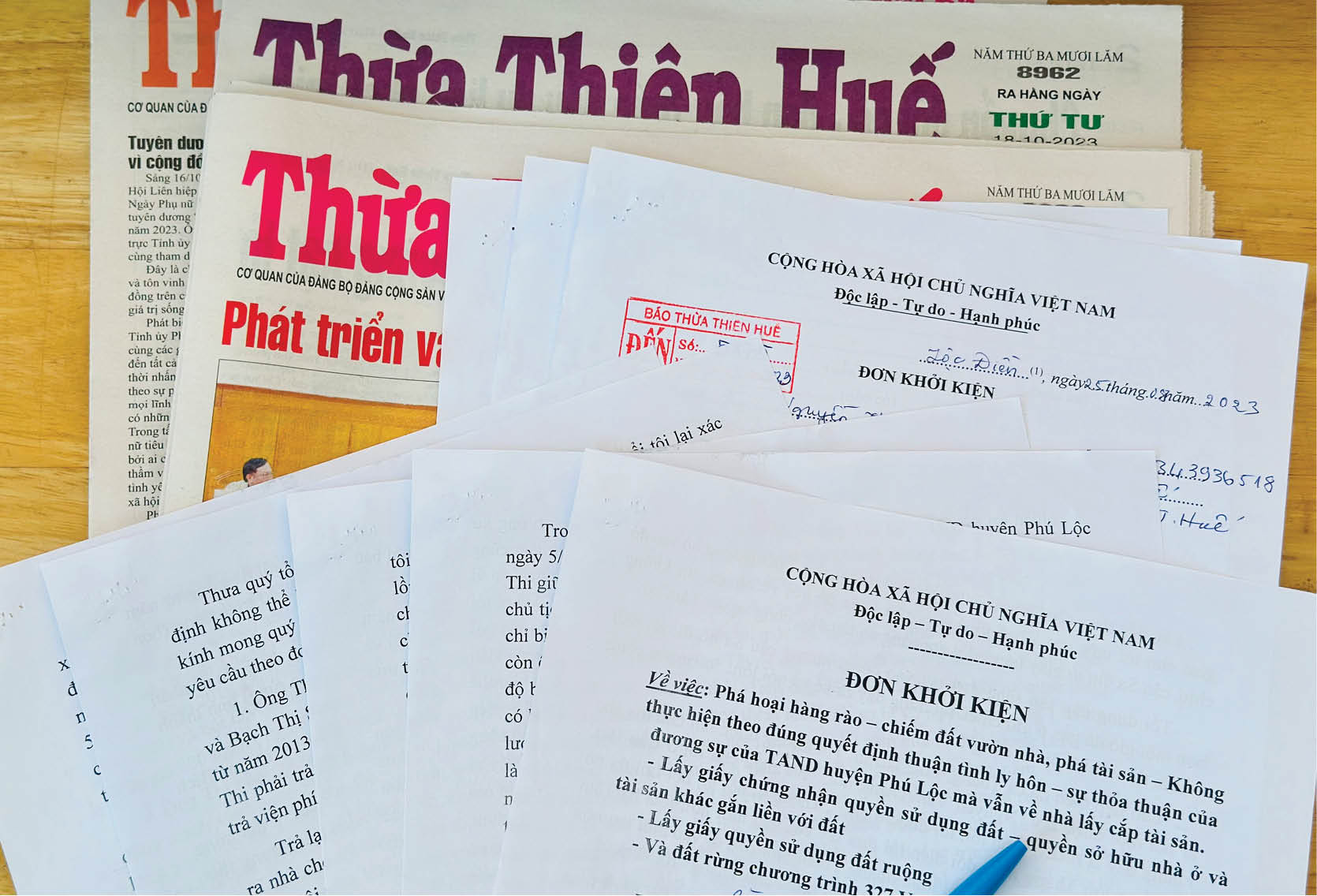 Bà Tâm có thể gửi đơn đến TAND và cơ quan chức năng tại địa phương