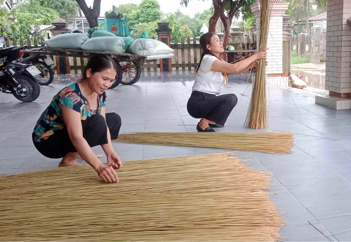 Sen trắng trên đất Phong Bình