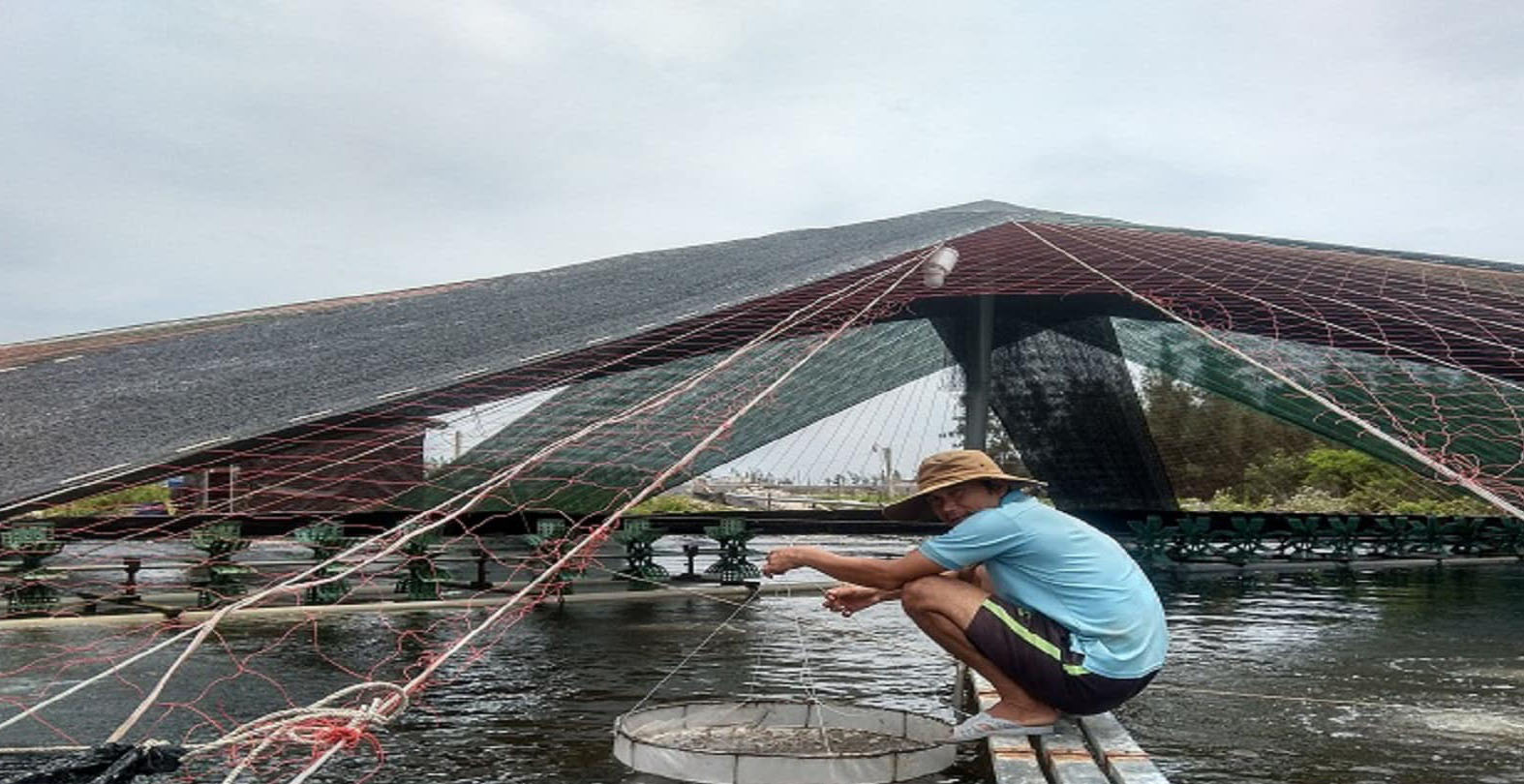 Chủ động ứng phó mưa lũ cho nuôi trồng thuỷ sản