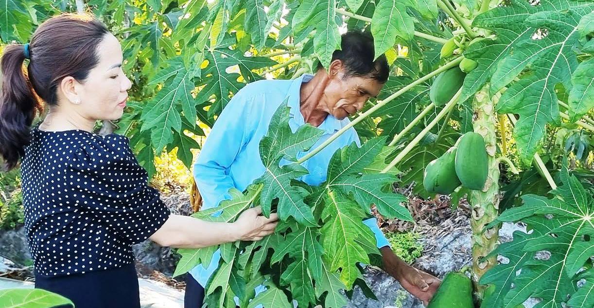 Trao sinh kế, tạo việc làm