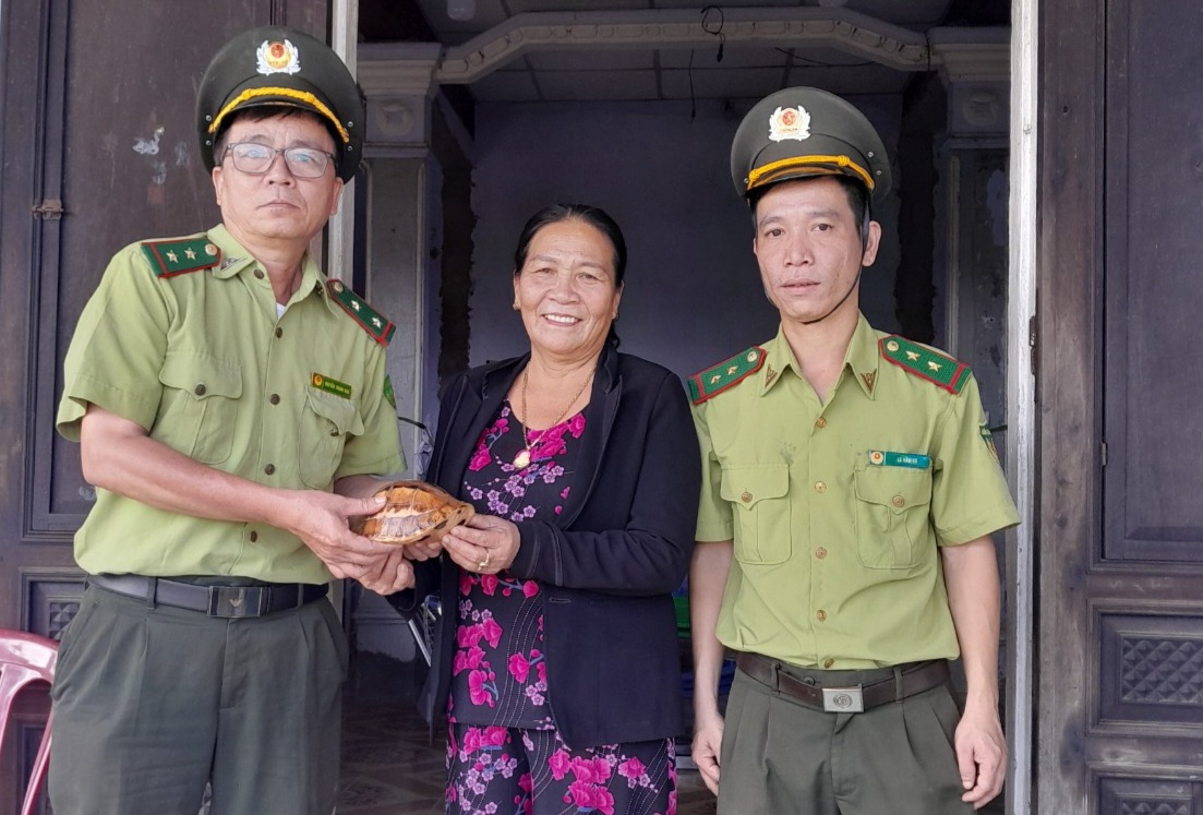 Tiếp nhận cá thể rùa hộp trán vàng do người dân giao nộp