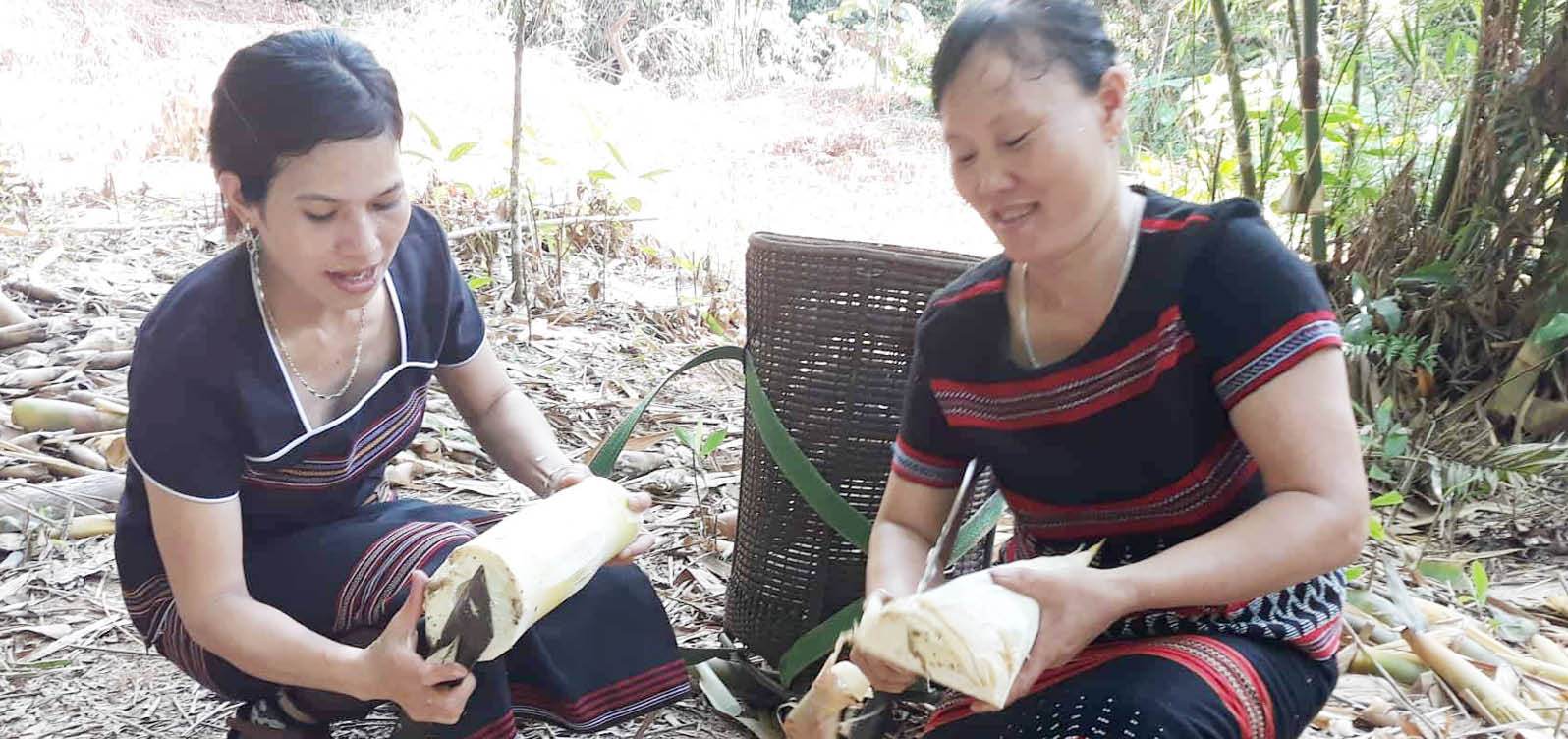 Phát huy chính sách chi trả dịch vụ môi trường rừng