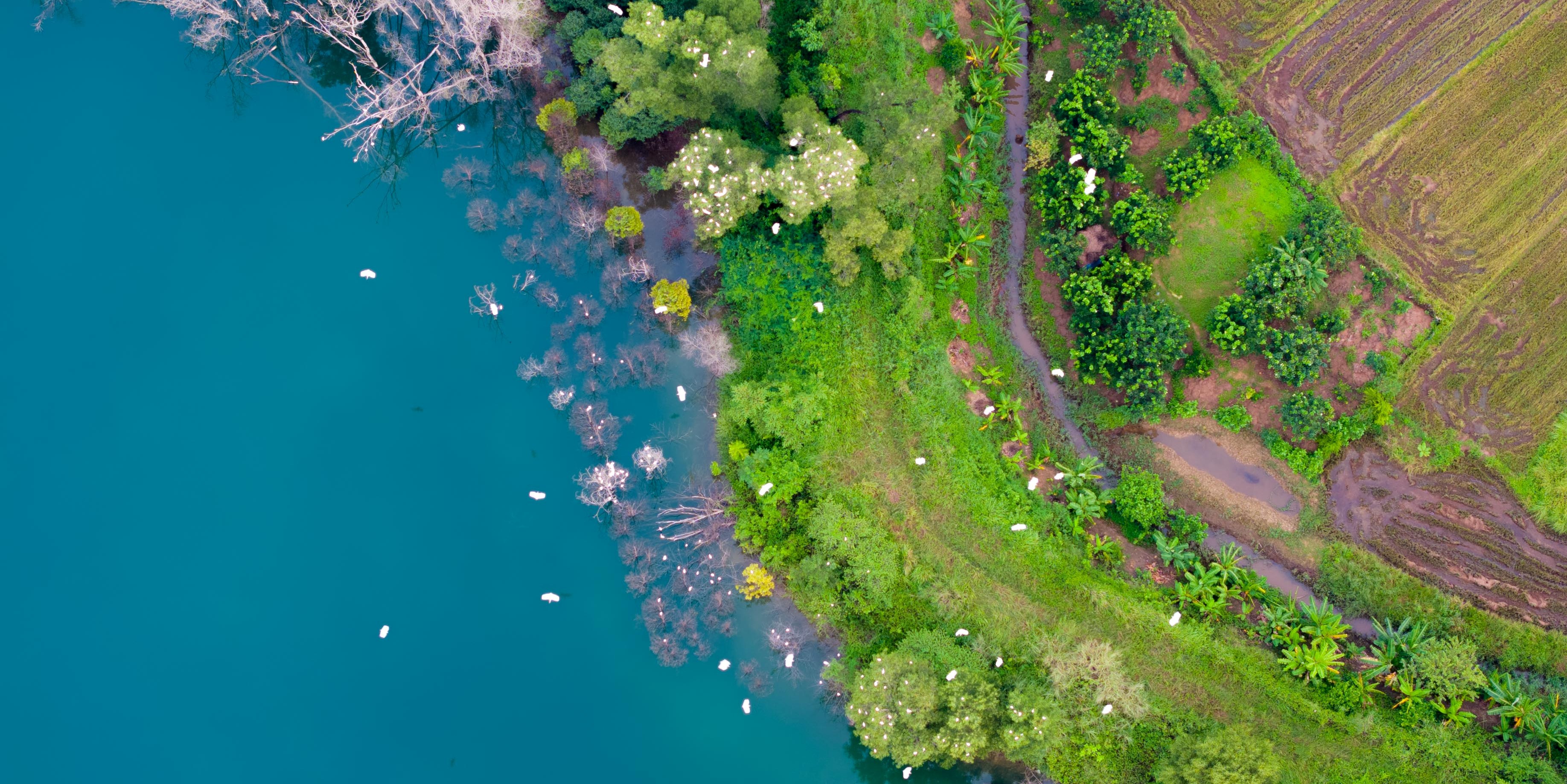 Bản tin Văn hóa - Du lịch ngày 2 11