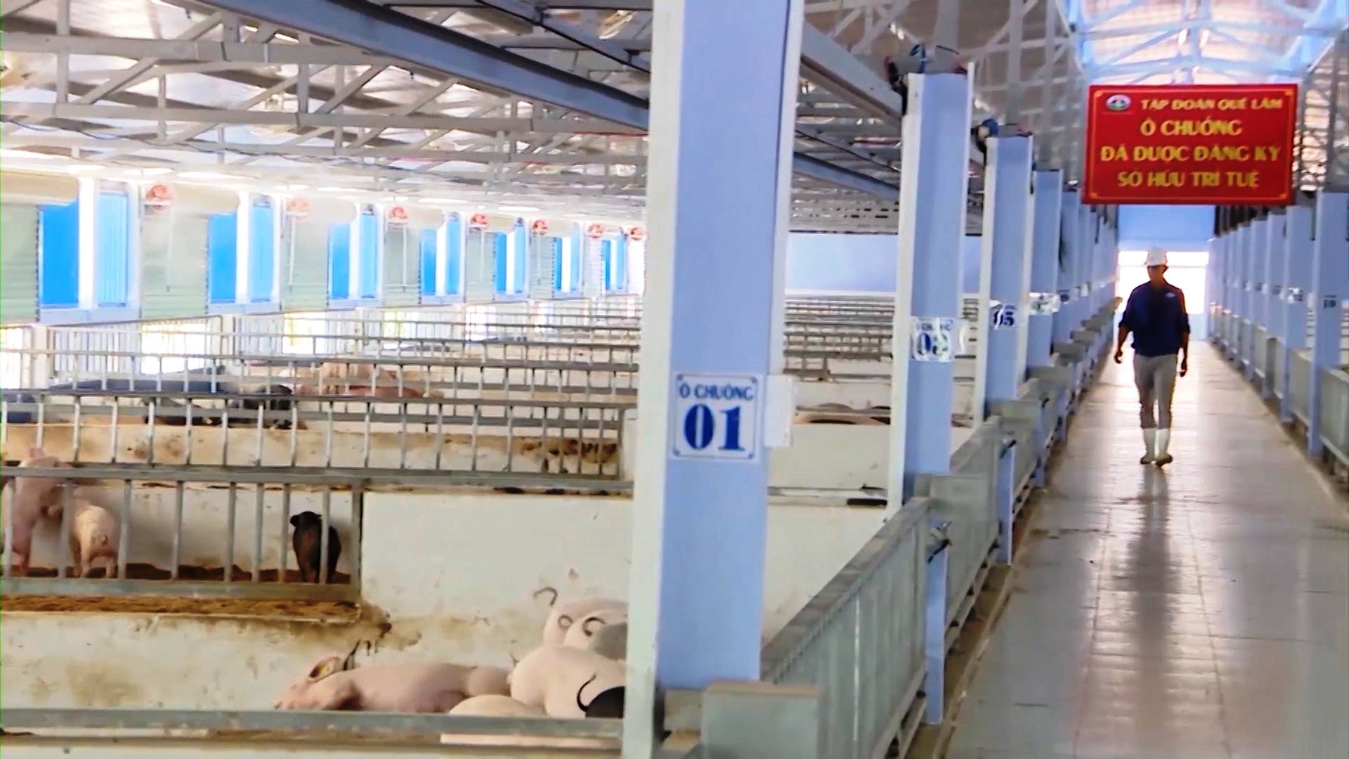 Bản tin Kinh tế - Thị trường ngày 4 11