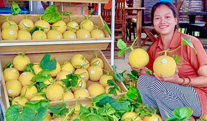 Phát triển kinh tế tập thể gắn với liên kết sản xuất, chế biến và tiêu thụ sản phẩm