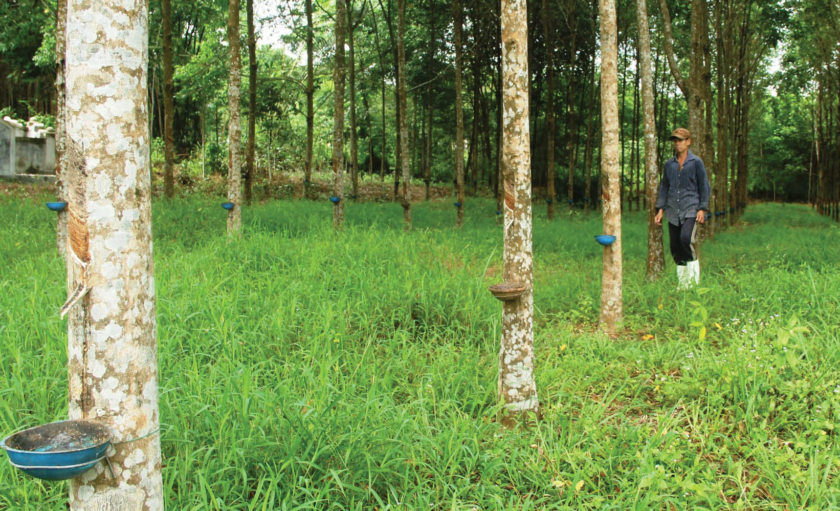 Thoát nghèo lên  phố - Kỳ 3 Quyết không tái nghèo