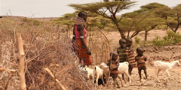 LHQ thúc đẩy cải cách hệ thống tài chính để giúp đỡ các nước nghèo