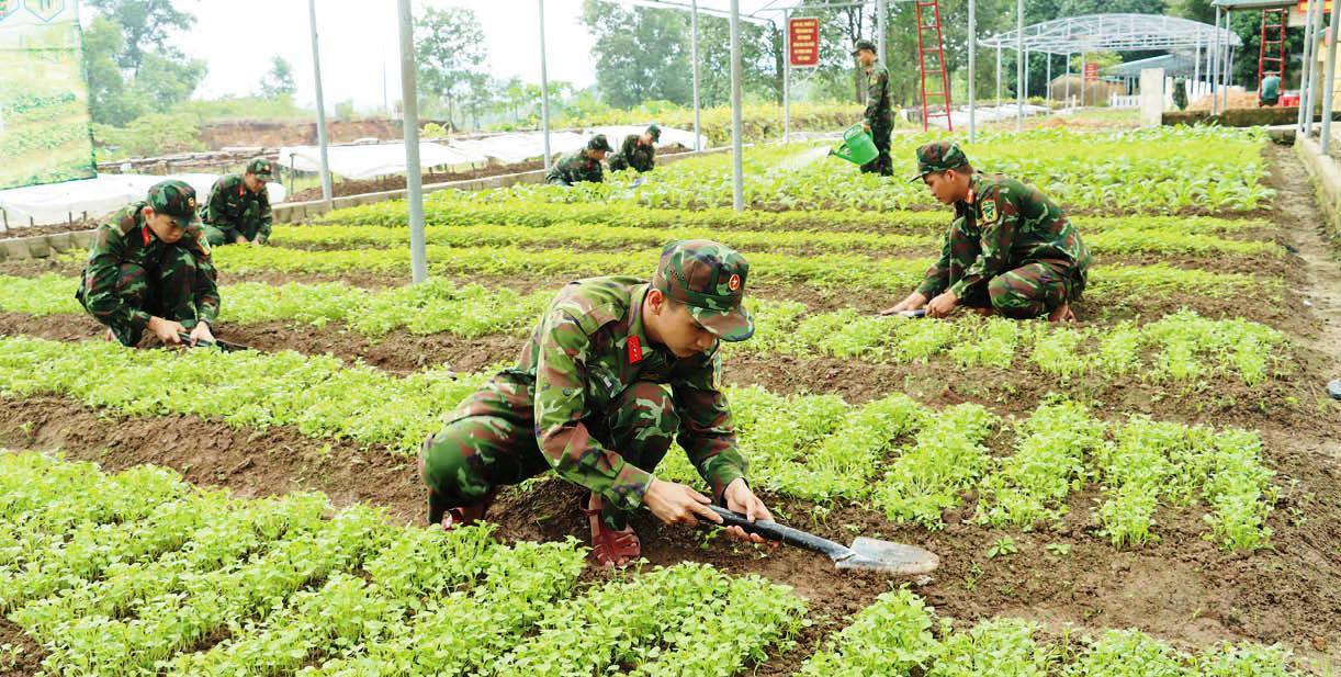 Chủ động thực phẩm cho mùa huấn luyện mới