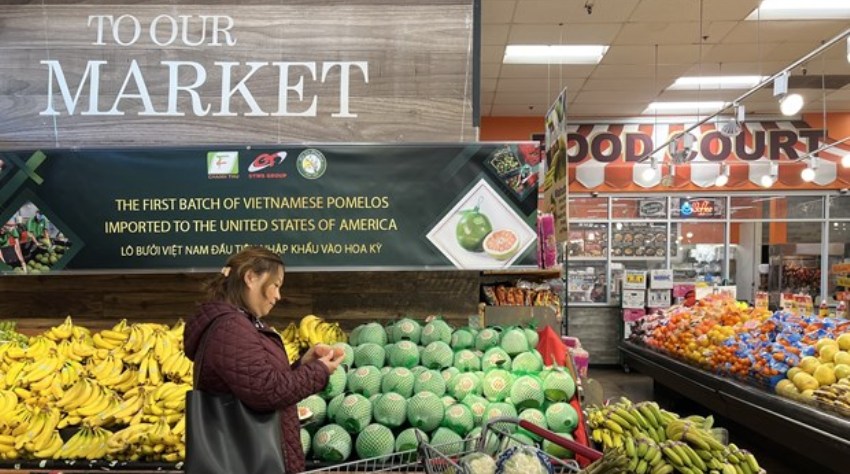 Lãnh đạo doanh nghiệp Việt Nam tìm kiếm cơ hội hợp tác tại Mỹ