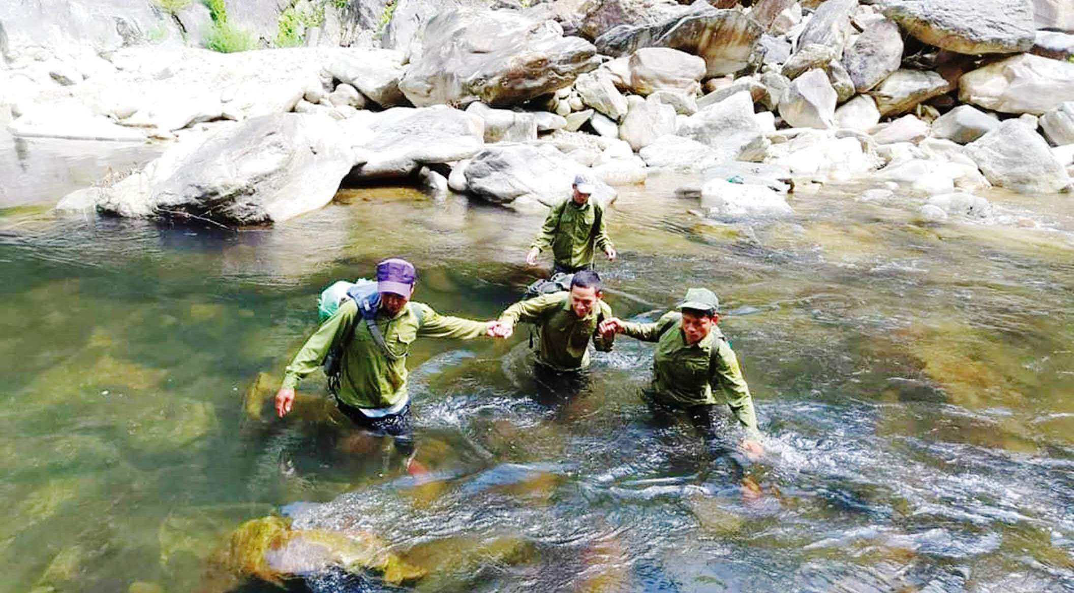 Bảo vệ rừng mùa mưa lũ