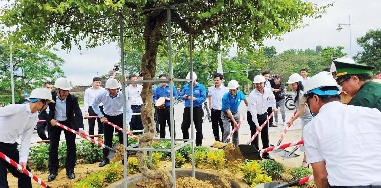 Giấc mơ đường tàu, đường hoa