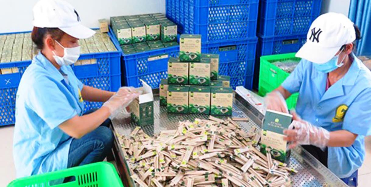 Hiệu quả từ mô hình kinh tế tập thể