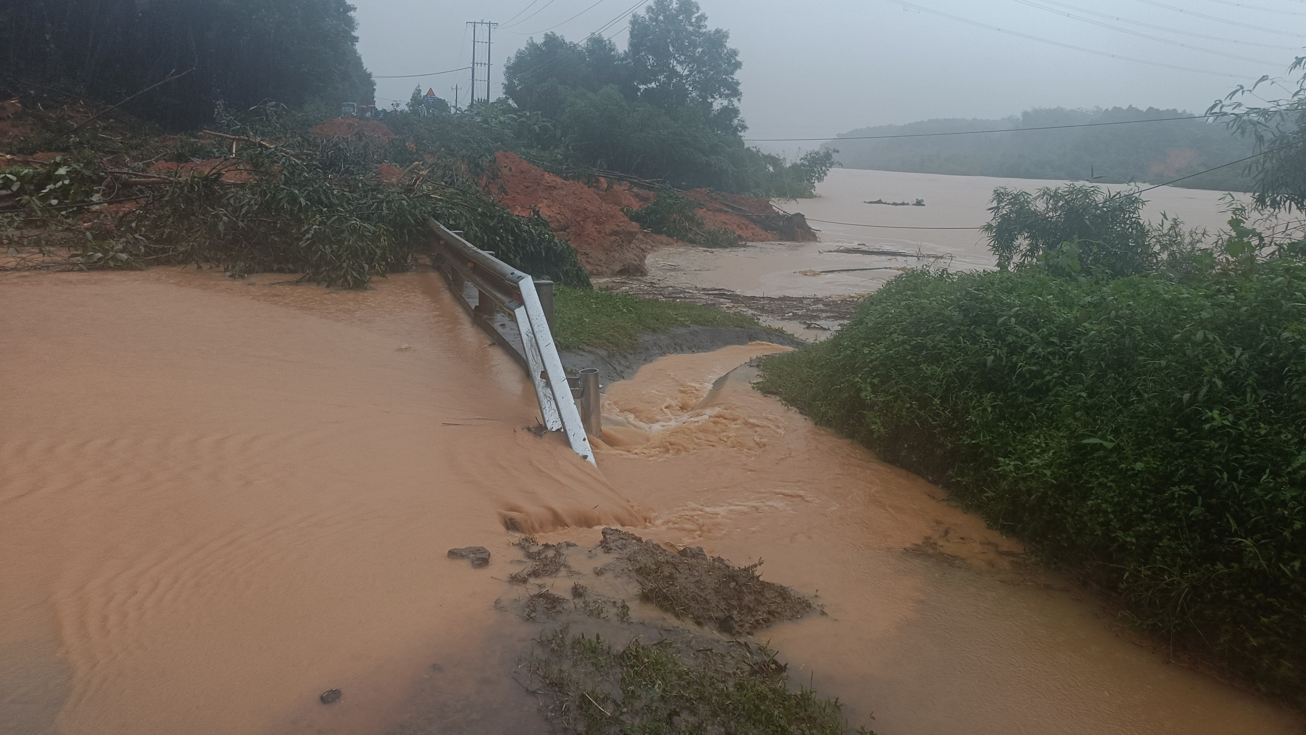 Xuyên đêm thông đường 49