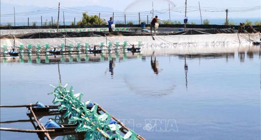 Chương trình hành động phát triển và ứng dụng công nghệ sinh học