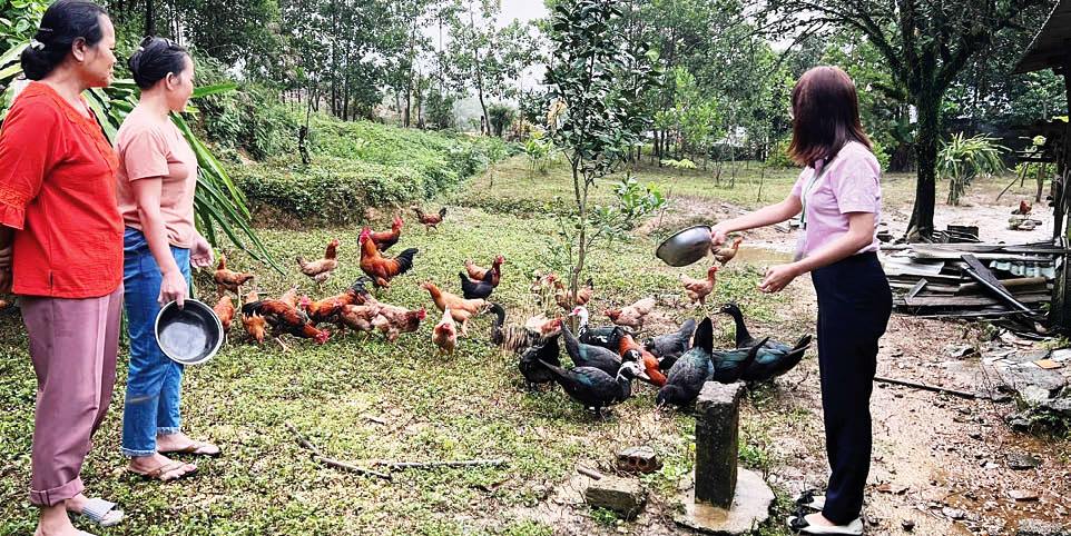 Động lực… thoát nghèo