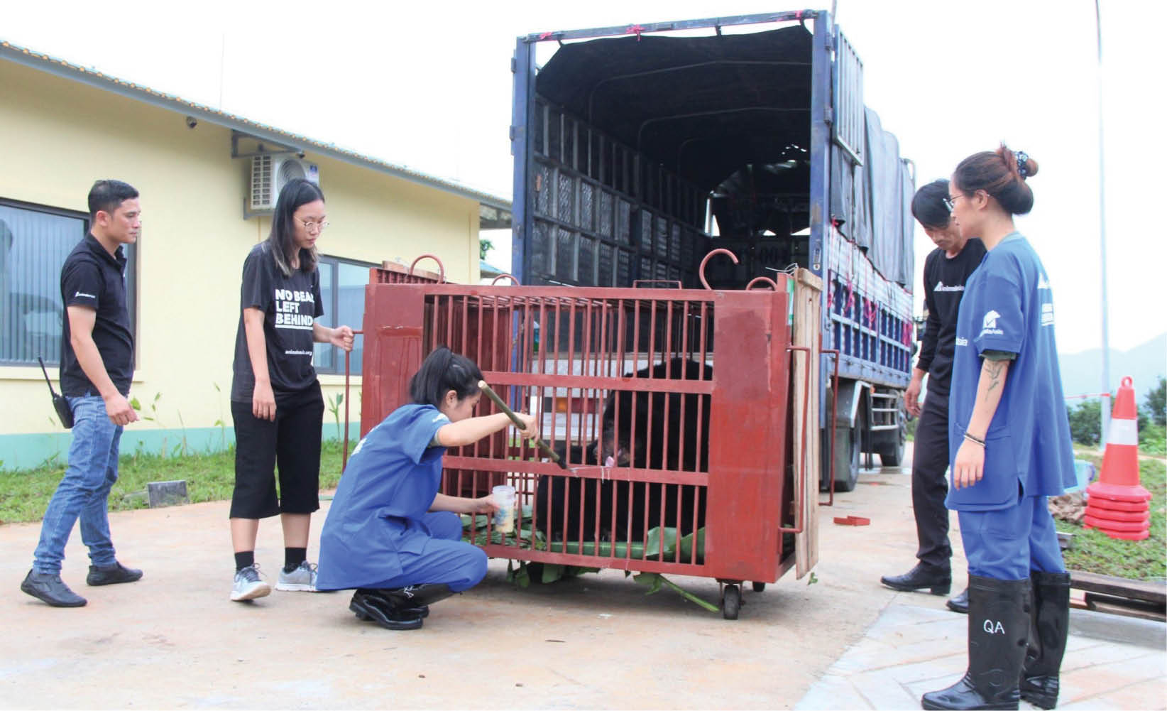 Sẽ không có cá thể gấu nào bị bỏ lại phía sau