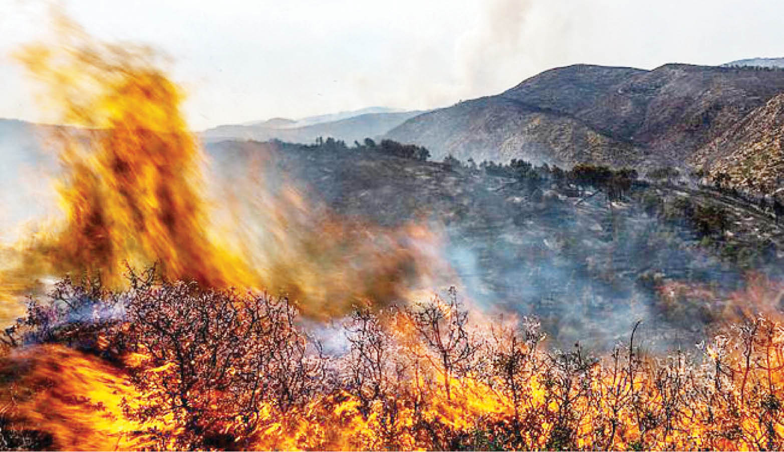 Châu Âu sử dụng vệ tinh theo dõi các mối đe dọa khí hậu đối với rừng