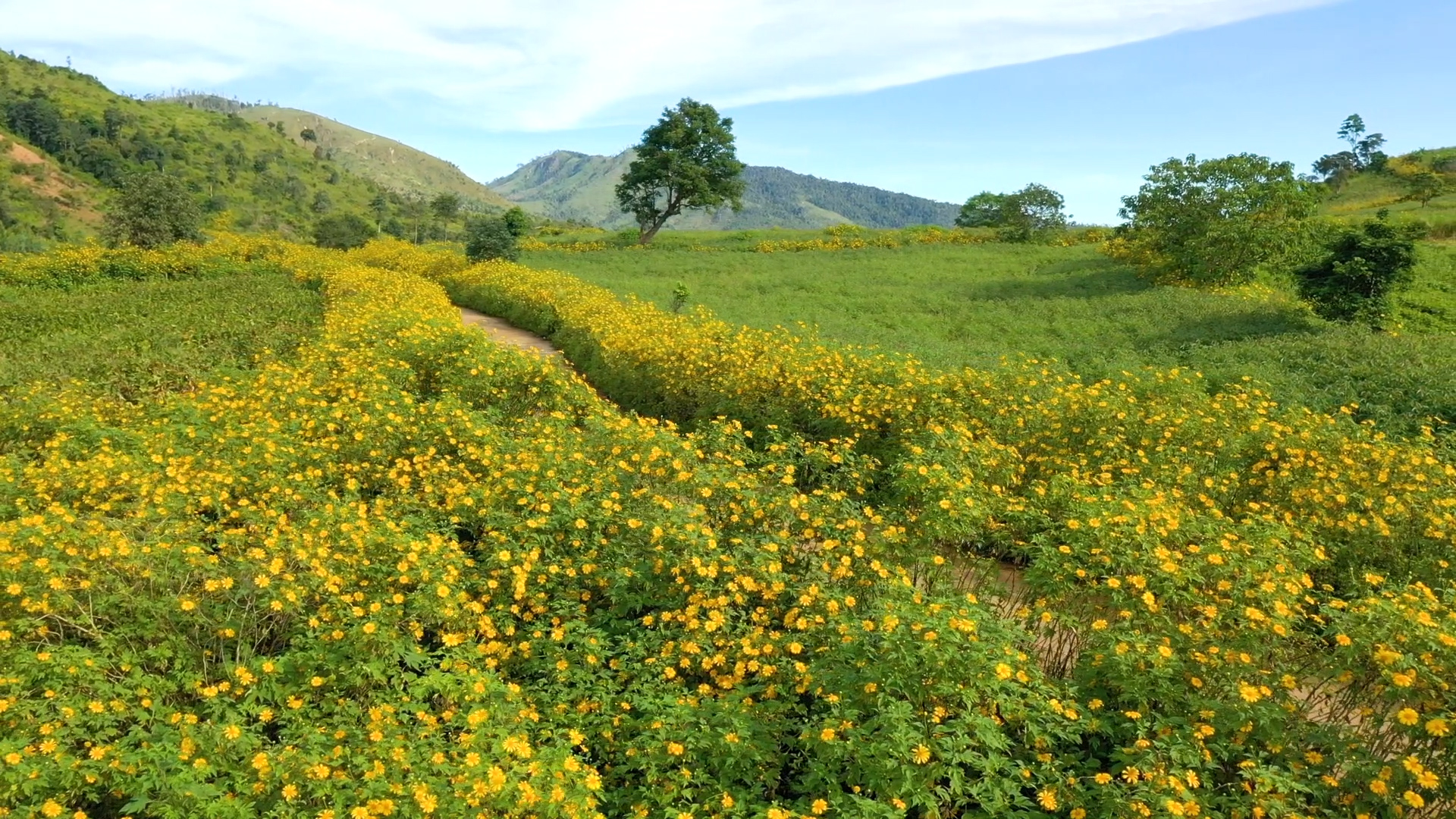 Bản tin Văn hóa - Du lịch ngày 23 11