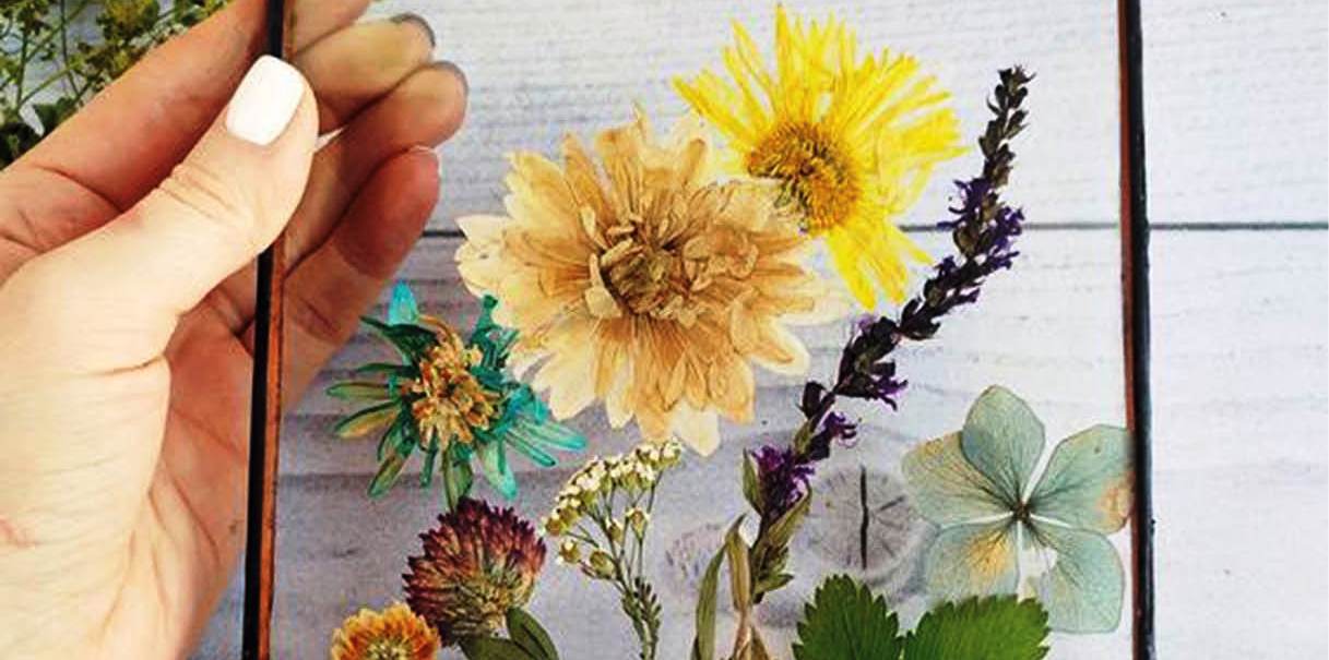 Sinh động hoa khô