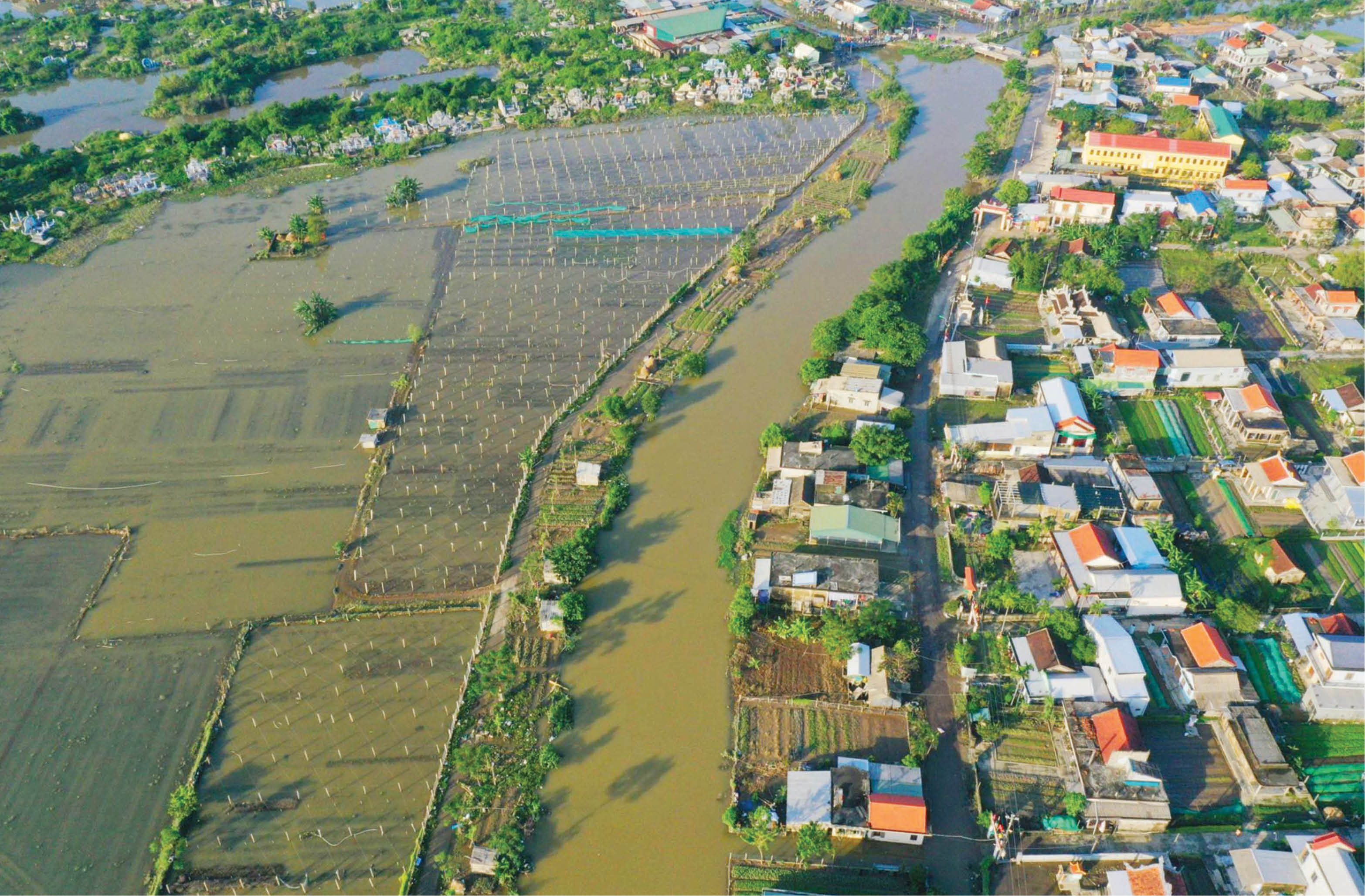 Gieo lại mầm xanh