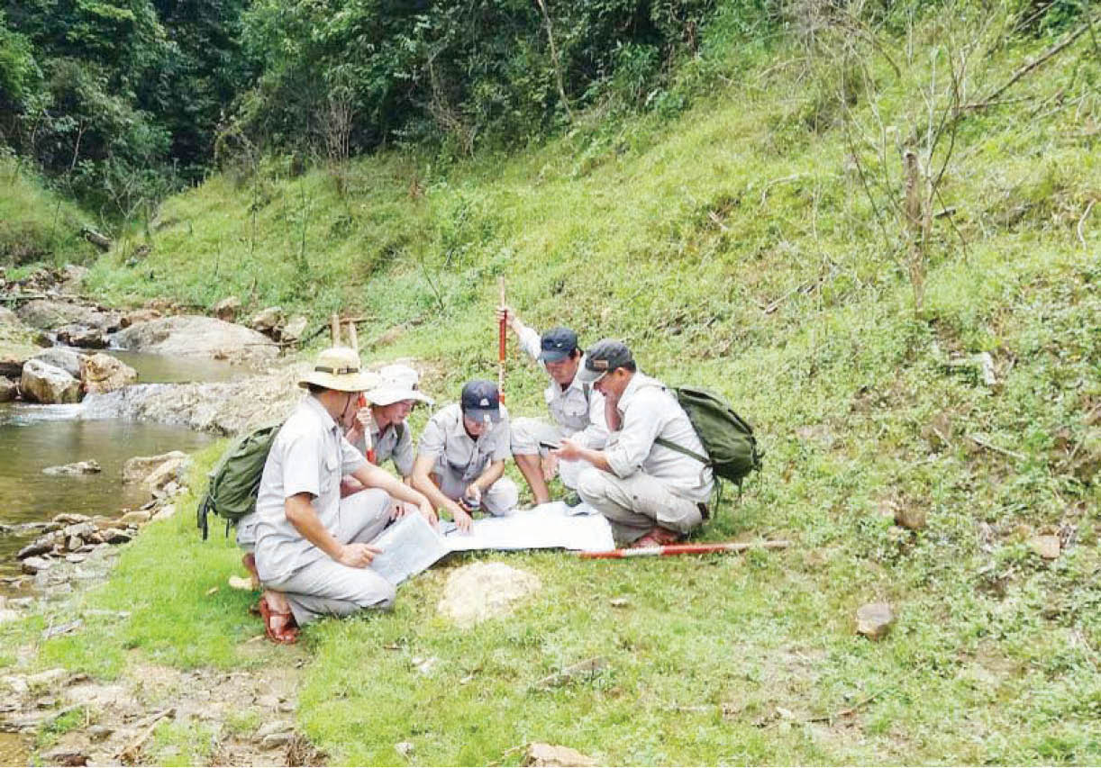 5,609 triệu USD cho giảm phát thải từ rừng