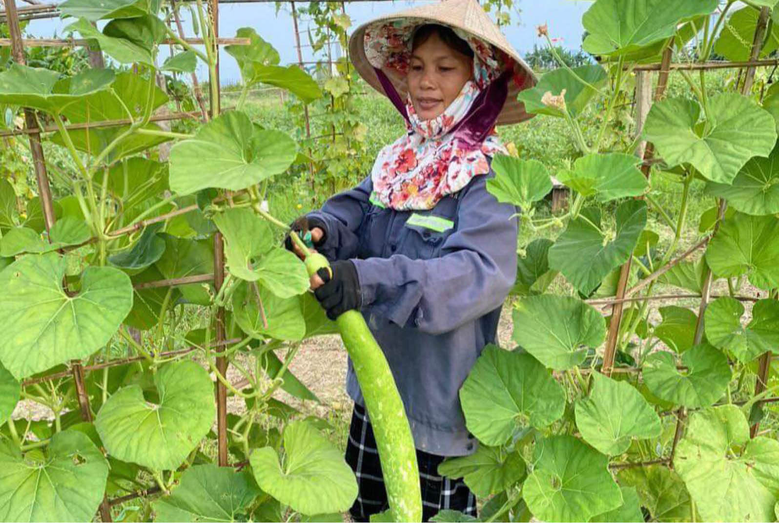 Đầu tư hạ tầng, chuyển giao công nghệ