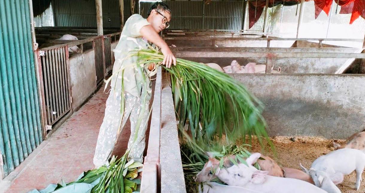 9X vùng cao khởi nghiệp với mô hình nuôi heo hữu cơ