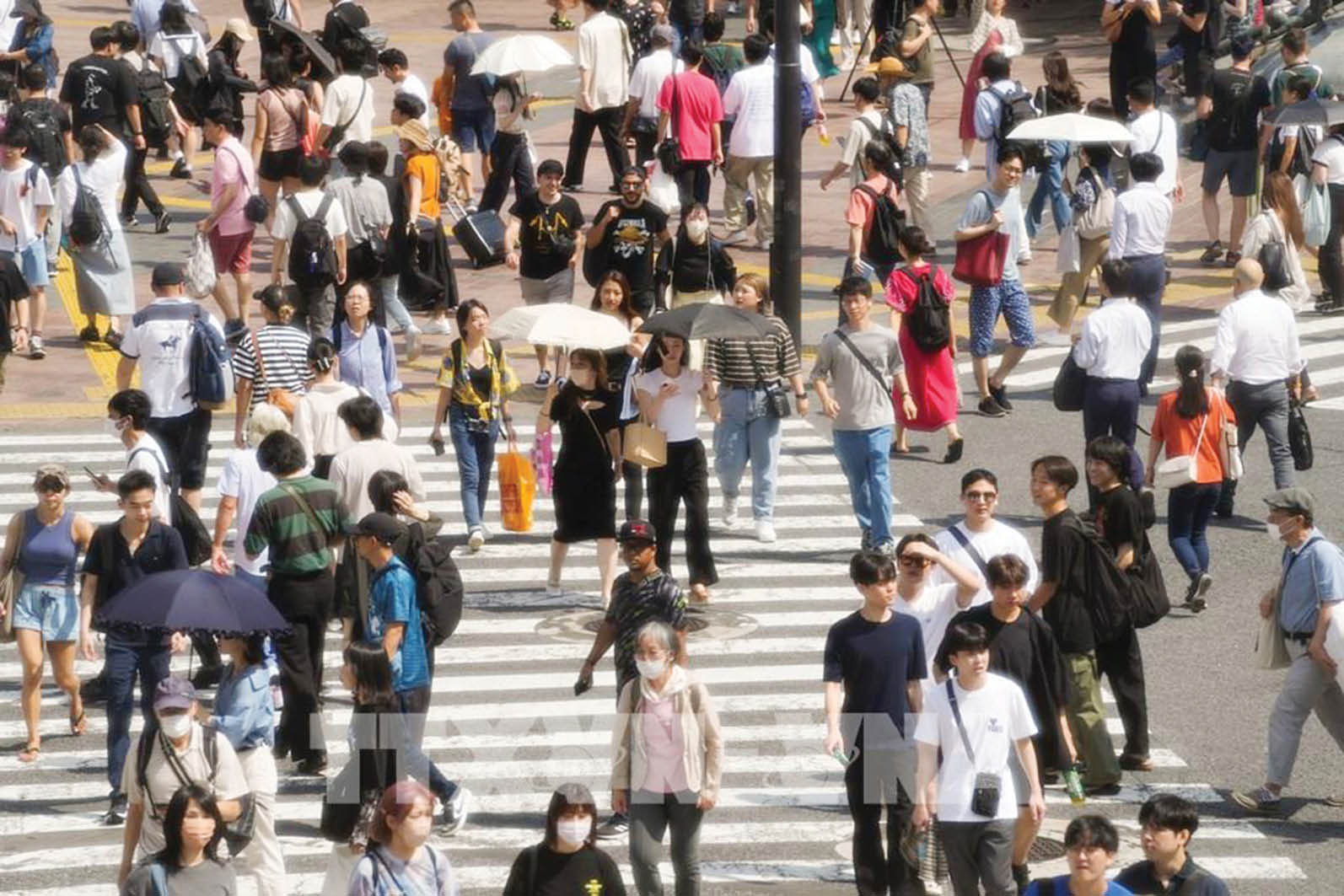 Châu Á Khủng hoảng sức khỏe do khí hậu gióng lên cảnh báo trước thềm COP28