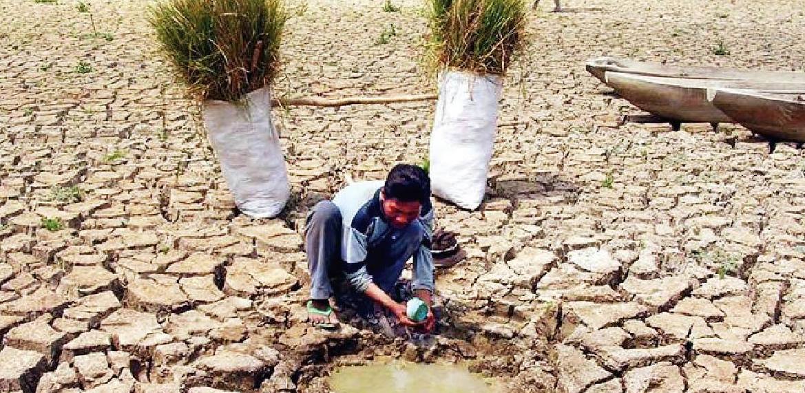 UNCCD Cần có hành động khẩn cấp trước tình trạng hạn hán chưa từng có